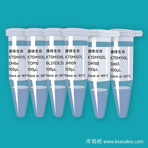 纳米抗体（感受态细胞DH5α）
